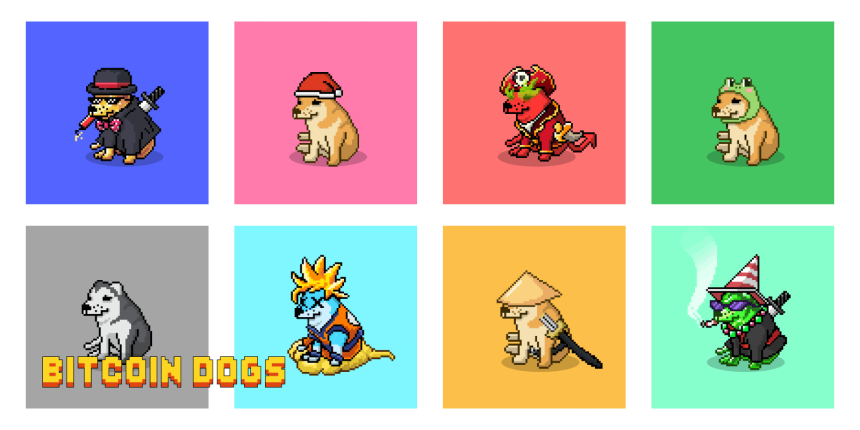  비트코인 독스(0DOG) 주요 거래소 상장: 올해 투자해야 할 최고의 암호화폐로 떠오를까?