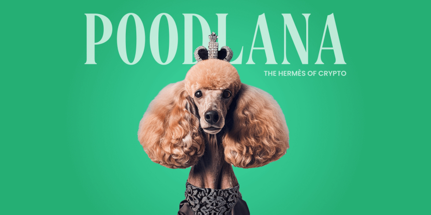  한국 투자자들이 푸들라나에 몰두하는 이유