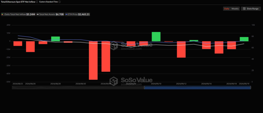  美 이더리움 현물 ETF 시장, 3거래일 만에 얕은 유입세 