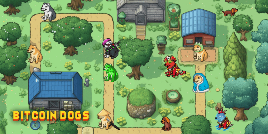  왜 비트코인 독스가 2024년 폭발적인 수익을 얻기 위한 최고의 선택일까