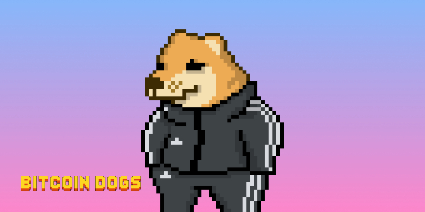  2024년 돌풍을 일으킬 비트코인 도그: 이것이 차세대 필수 암호화폐인가?