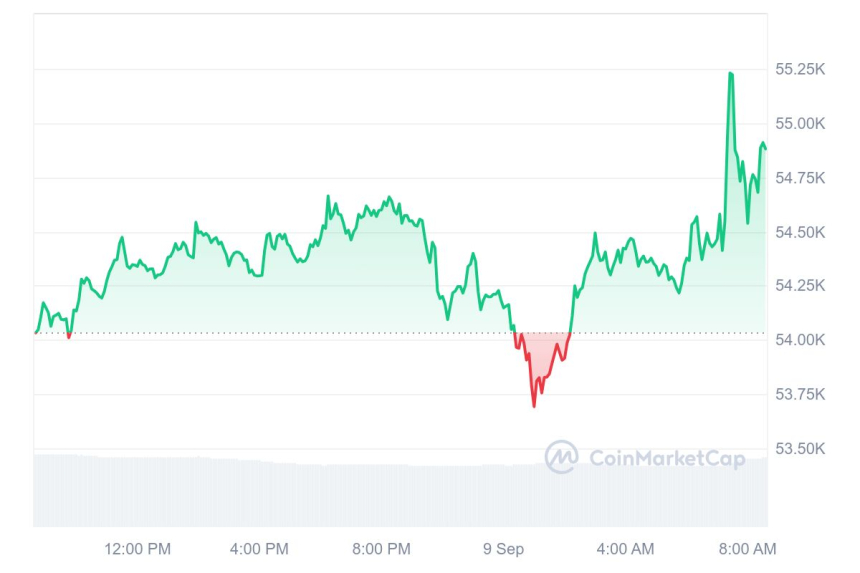[시세브리핑] 비트코인 5만4860달러, 이더리움 2300달러 부근