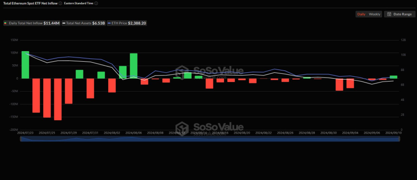 美 이더리움 현물 ETF 시장, 7거래일 만에 유입세 확인