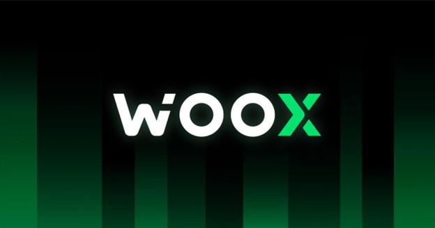  WOO 토큰, 빗썸에서 거래량 700억원 돌파, 전일대비 토큰가격 311% 이상 급증