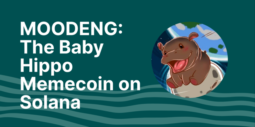 Pump.fun, 무댕 열풍 덕분에 다시 인기 급상승