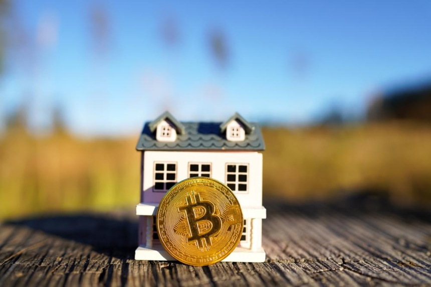 [토큰포스트 마감 브리핑] 일론 머스크, 트럼프 지지 연설 사진 및 DOGE 이미지 게재 外