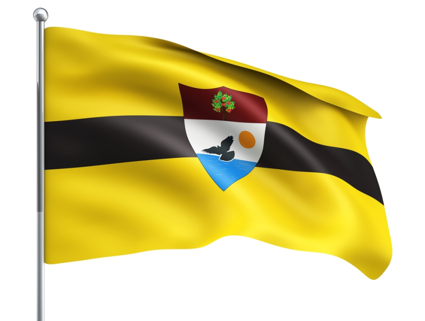 트론 창립자 저스틴 선 리버랜드 총리 당선, 마이크로네이션 정치 실험 화제