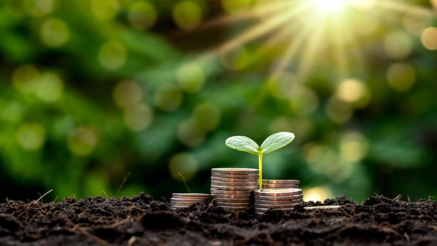 퓨얼 네트워크 스테이블코인 USDF 390만 달러 시드라운드 유치