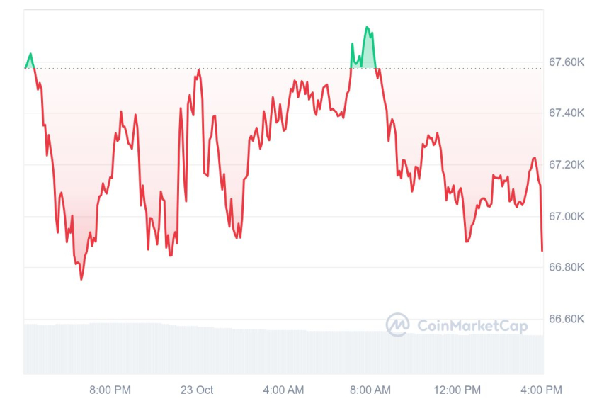 [마감 시세브리핑] 비트코인 6만6890달러, 이더리움 2610달러 부근