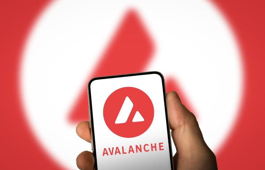 아발란체 재단, 비자 암호화폐 결제 카드 출시