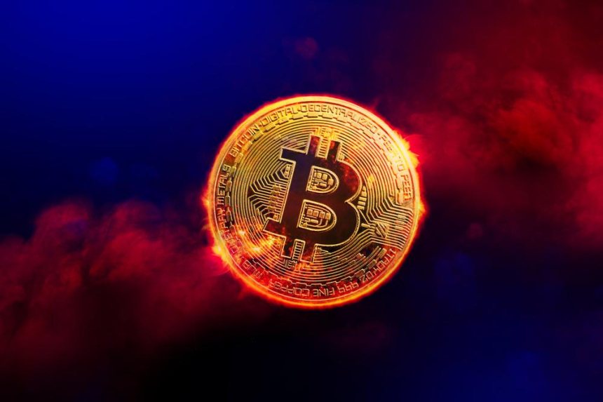 美대선·금리인하 전망에 비트코인 2025년 강세장 진입 전망