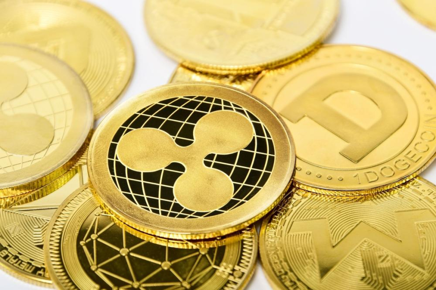 알트코인 시즌 도래, 트론 도지코인 급등 페페코인 고래 매집 포착