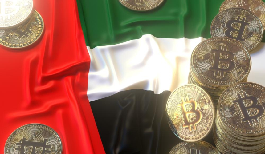 UAE 암호화폐 생태계 독자 성장세 주목