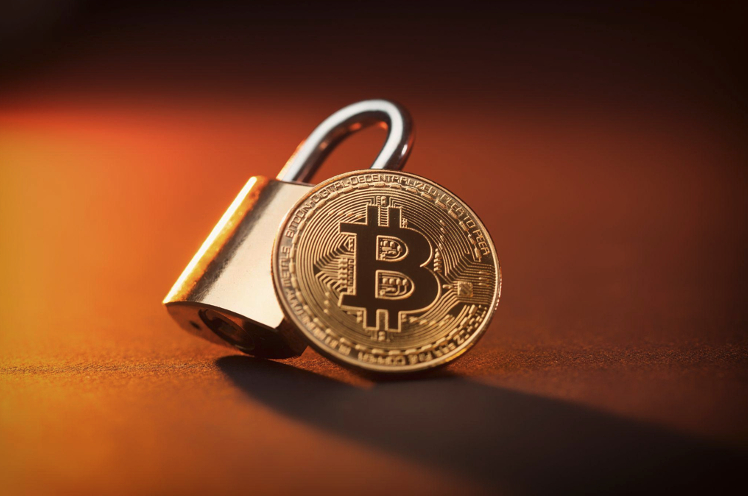  트럼프의 암호화폐 제국의 갈등 - 비트오아시스가 라이센스를 받다