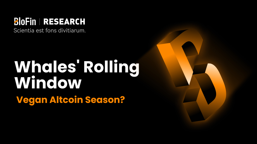  블로핀(BloFin), 금리 인하 기대 속 암호화폐 시장 '알트코인 시즌' 가능성 제기