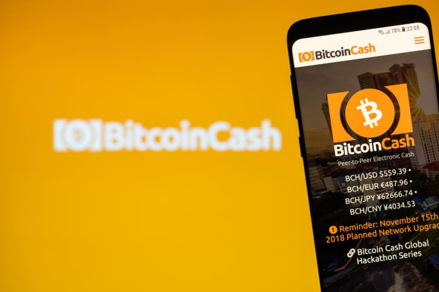  BTC 전도사 '비트코인 지저스', 트럼프에게 조세 사건 도움 요청, 최대 109년형 직면