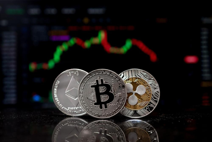  美 자문사 56퍼센트 대선 후 암호화폐 투자 확대 전망