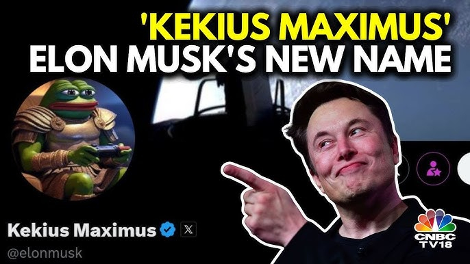 일론머스크 프사 바꾸자, 밈코인 가격 폭락 60% 하루새 증발