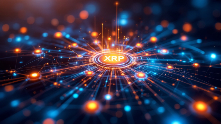  도플러 파이낸스, XRP 레저 첫 디파이 프로토콜로 출범… 생태계 확장 신호탄