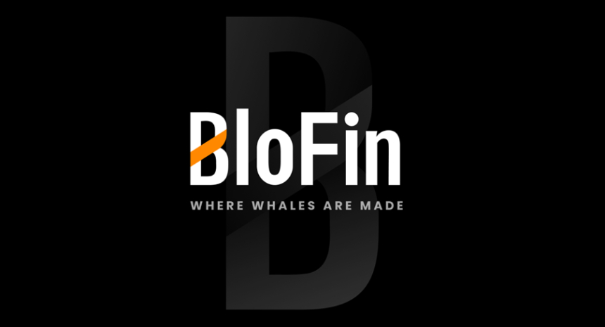  2025 밈코인 시장, 투자 자산으로 자리 잡나