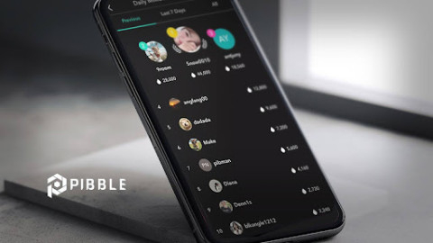  피블 PIBBLE, Web2-Web3 간극 메울 새로운 블록체인 생태계 구축