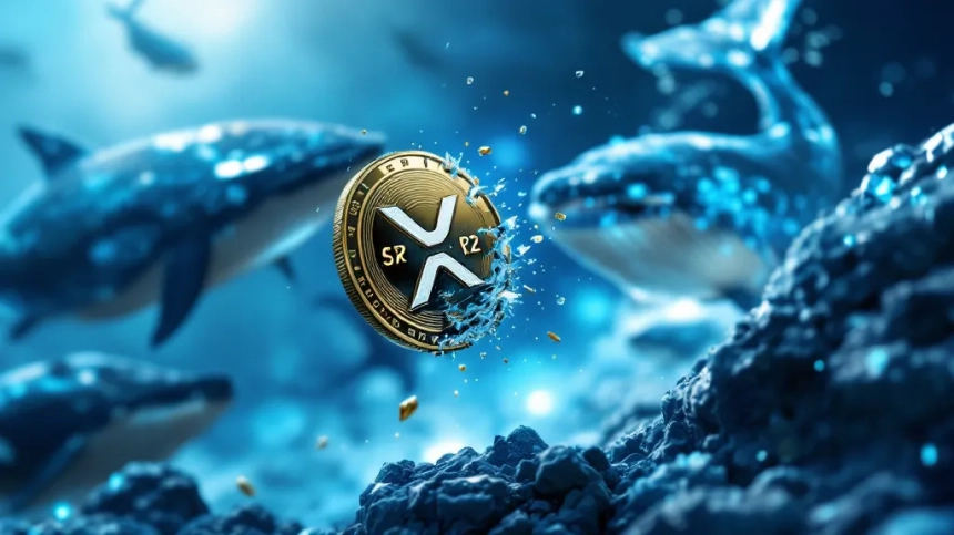 XRP, SEC 소송 종결 후 15% 급락…고래 이탈에 '2달러 붕괴' 위기