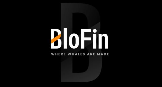  2025년 2월 암호화폐 시장: 급등과 급락 속 변동성 확대