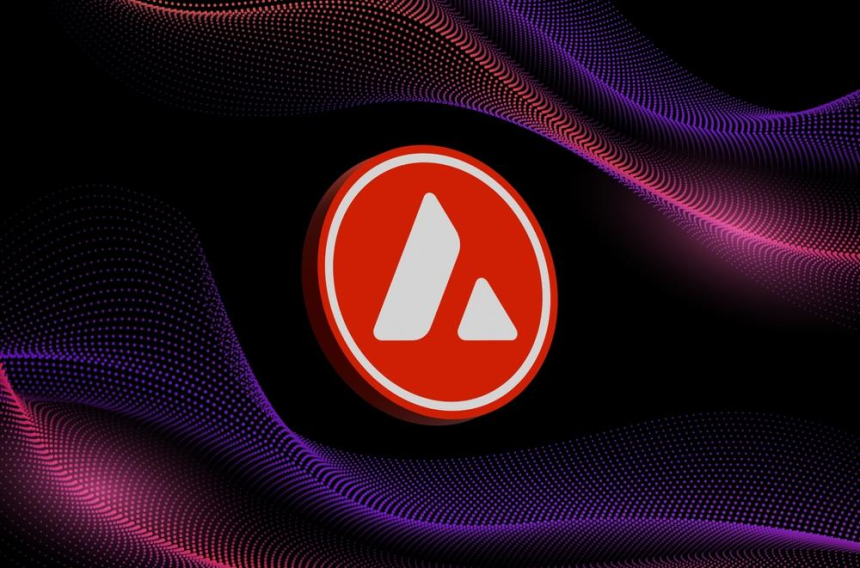  인도 소도시 단테와다, 토지 문서에 아발란체 블록체인 도입 / 셔터스톡 