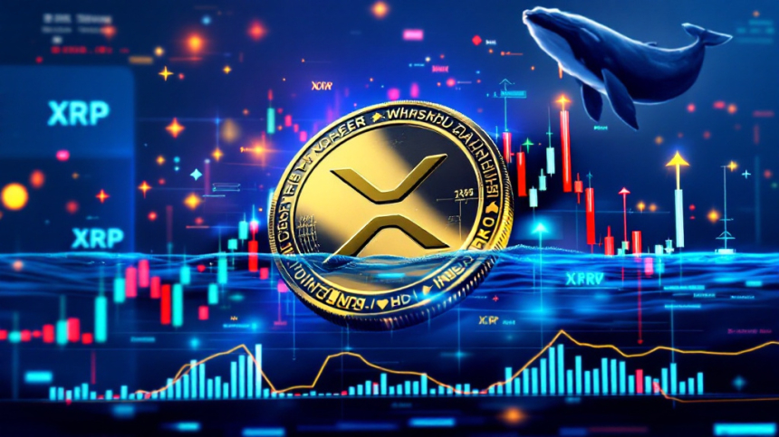 XRP, 5.85달러 돌파 가능성… 온체인 데이터·고래 매집 신호 강화