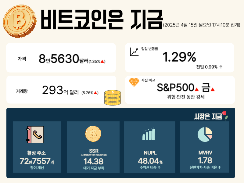 [비트코인은 지금] 거래량 증가·활성 주소 급등… 기술적 반등 유효할까