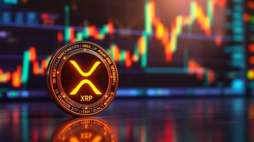 美, 첫 XRP ETF 출범 임박… '프리 XRP' 운동 결실 맺나