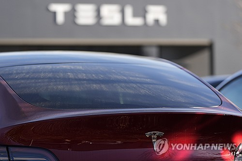 유럽서 외면받는 테슬라…머스크 정치 논란에 판매 30%↓