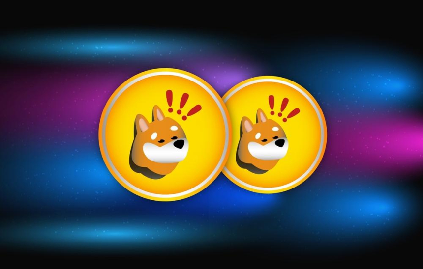 파트코인 가격폭등, 봉크 가격도 상승할 수 있다는 기대감 상승