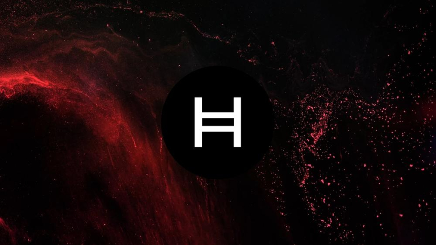  헤데라, 불안한 일요일 하락세에도 18% 반등 목표 / 셔터스톡 