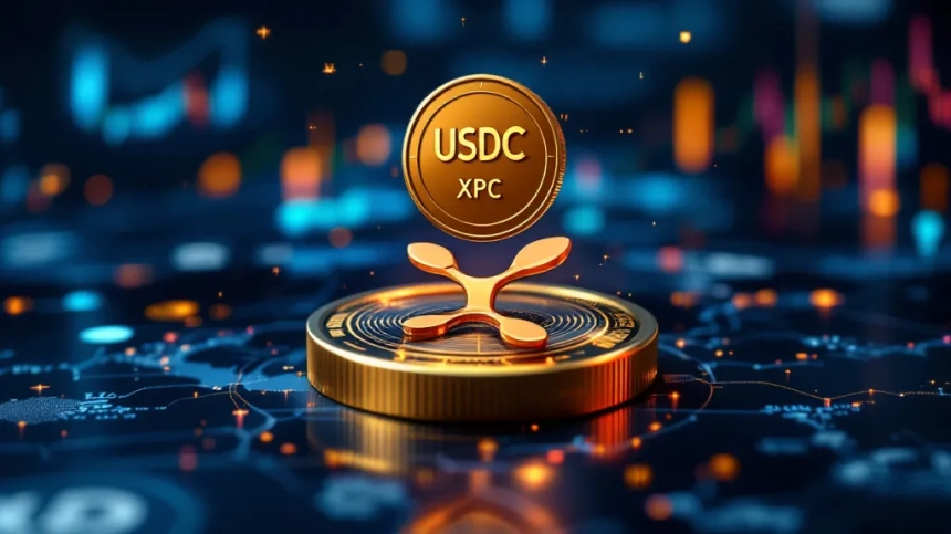리플, 써클의 스테이블코인 USDC 인수 위해 100억달러 제안