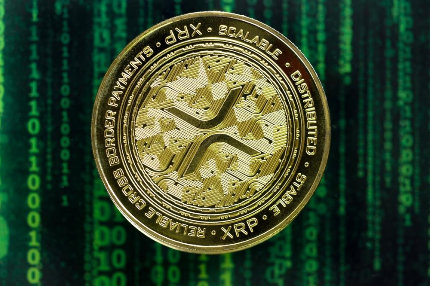  리플 CEO 'XRP, 5년 내 스위프트 결제량 14% 점유' 예측 발표
