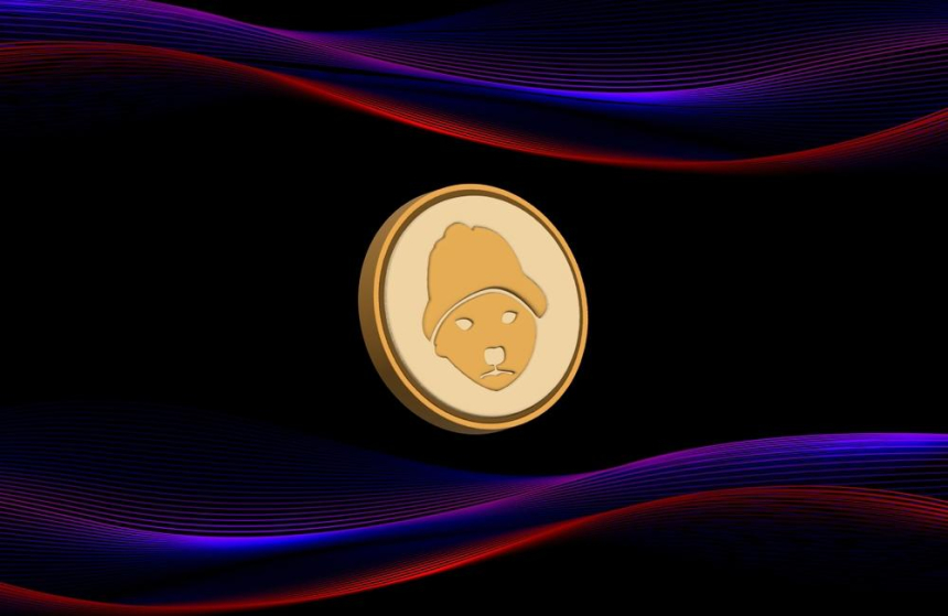  디파이 디벨롭먼트, 도그위프햇과 파트너십 체결해 솔라나 검증자 노드 운영