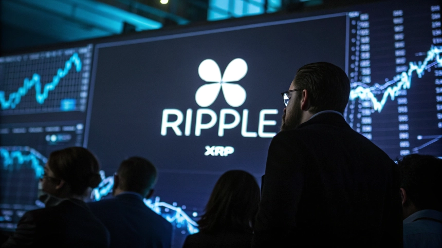  XRP 온체인 지표 20일 최저…네트워크 사용량 급감 '경고등'