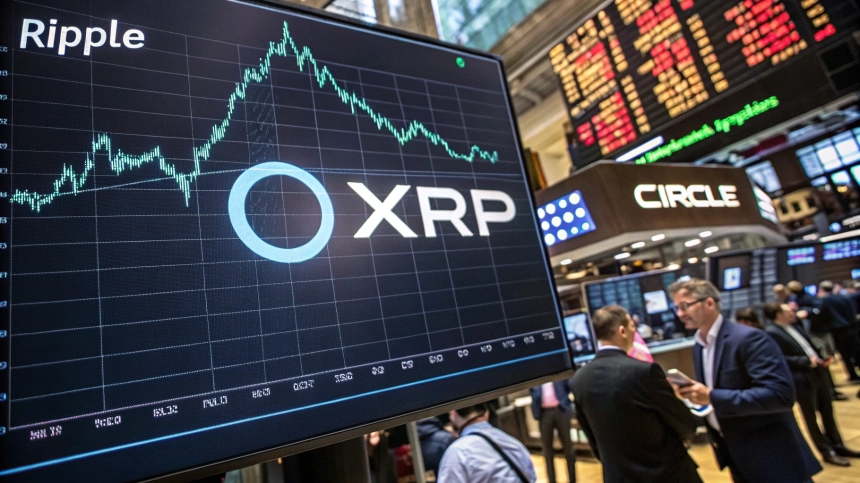 리플 IPO시 시총 1,000억 달러 넘본다…써클 사례로 재조명