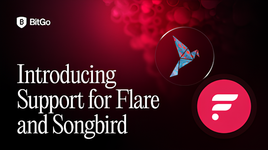  비트고, 플레어·송버드 커스터디 지원 개시…연내 스테이킹 기능도 도입