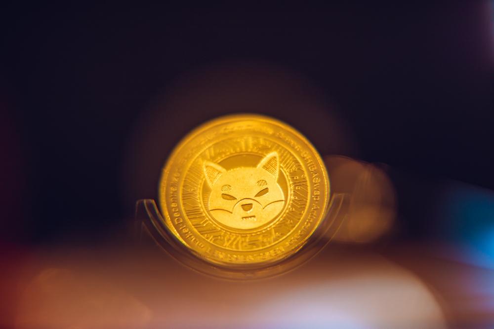 시바이누 가격 하락세, 밈코인 회복 속에서도 15% 급락