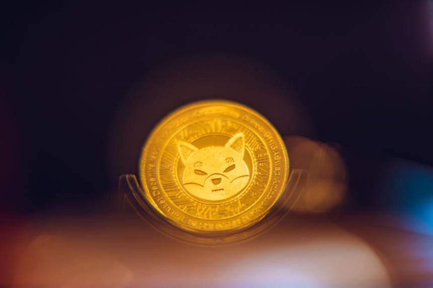  시바이누 가격 하락세, 밈코인 회복 속에서도 15% 급락