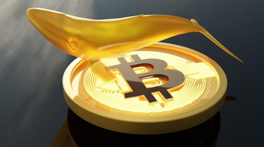 80000 BTC 14년 휴면 후 87억 달러 규모 이동, 주소 업그레이드 추정