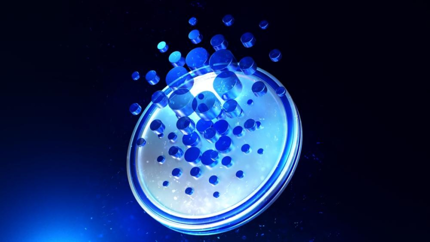  찰스 호스킨슨, 카르다노 부당 취득 의혹 해명 위해 ADA 보유량 공개 예고