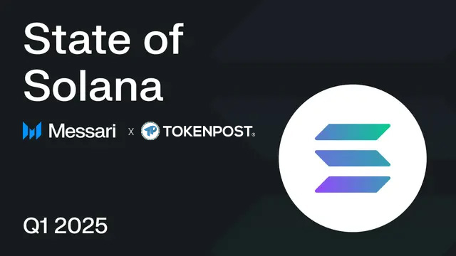  “변동성 속 반등”…솔라나, 수익·유동성·사용자 모두 잡았다 – 메사리 리서치 분석