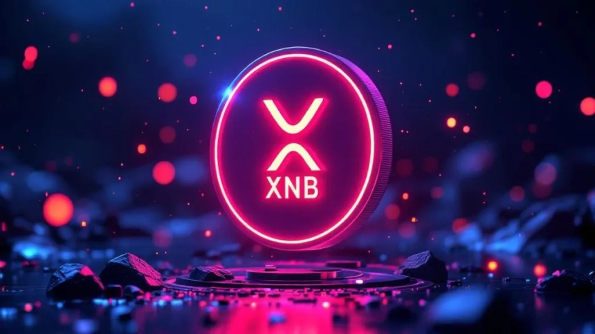 BNB·XRP, 사상 최고가 경신