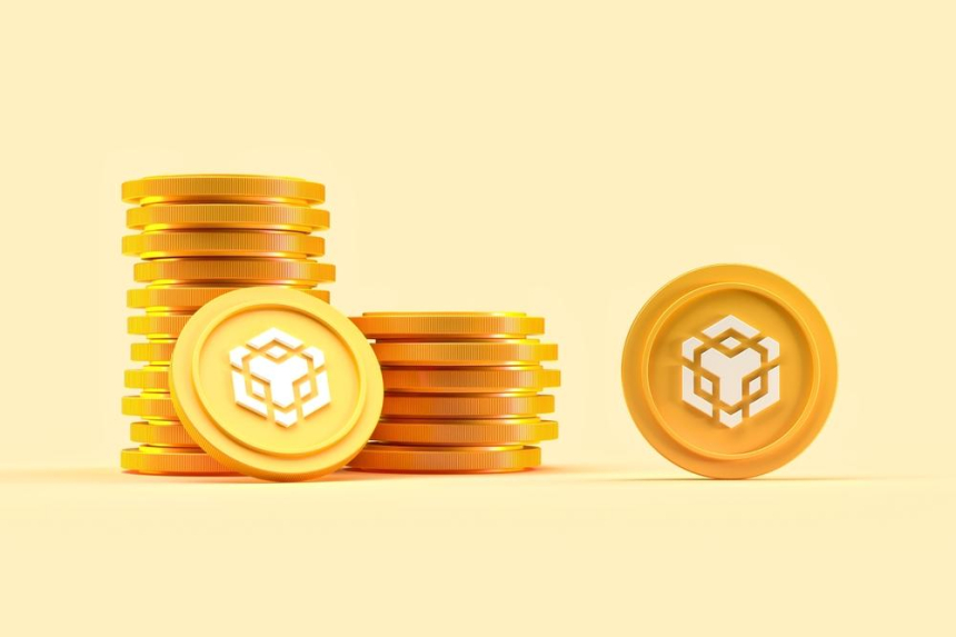  나스닥 상장 칩 제조업체 나노 랩스, 7만4천개 BNB 매입해 총 1억6천만 달러 암호화폐 보유