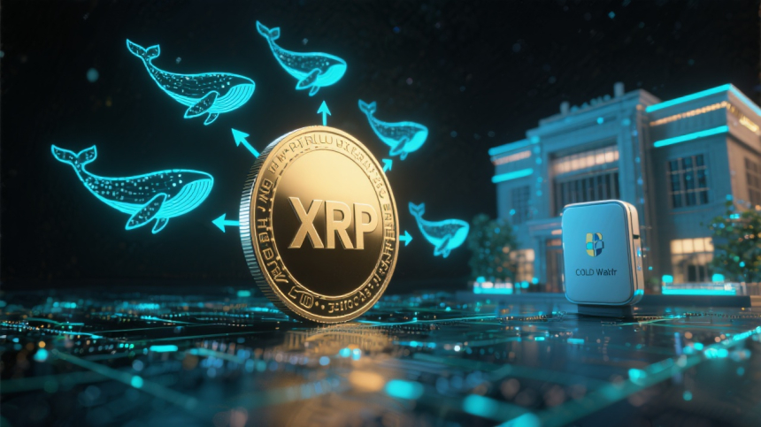  XRP, 거래소서 6억 달러 규모 빠져나가…고래의 장기 보유 신호?
