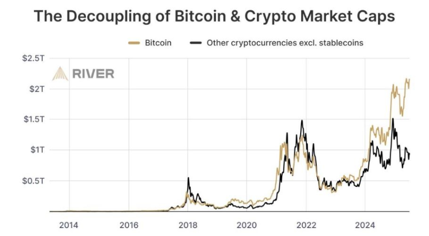  [기자수첩] “알트코인은 끝났다”는 말이 들려올 때