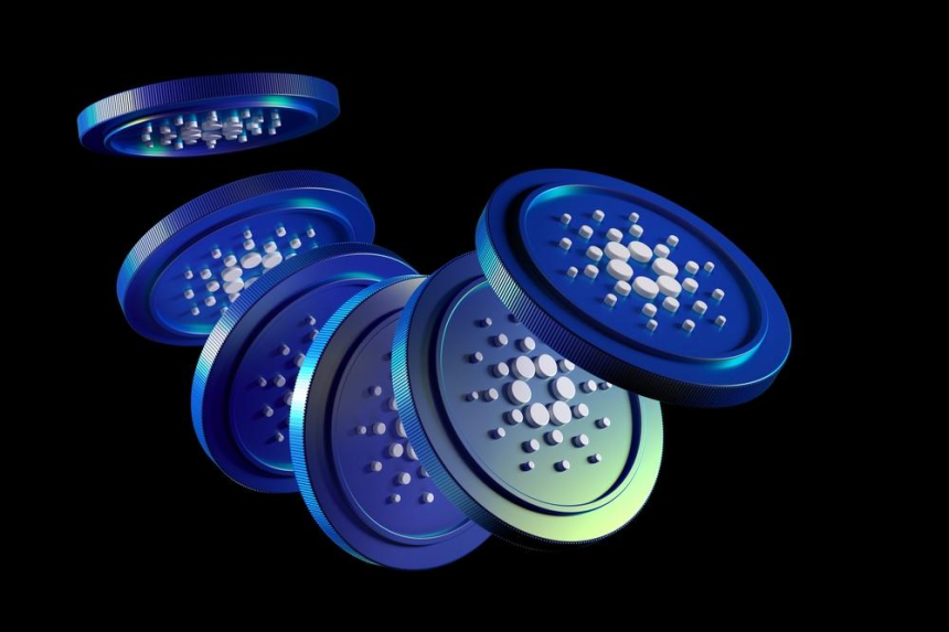  카르다노 생태계 내 갈등 격화, 창립자 찰스 호스킨슨과 주요 지지자 '카르다노 웨일' 공개 대립